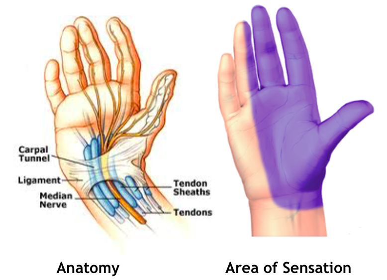 Science Behind The Injury