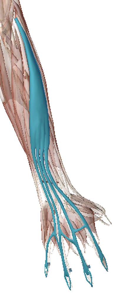 Science Behind The Injury