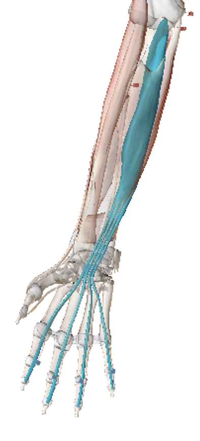 Science Behind The Injury