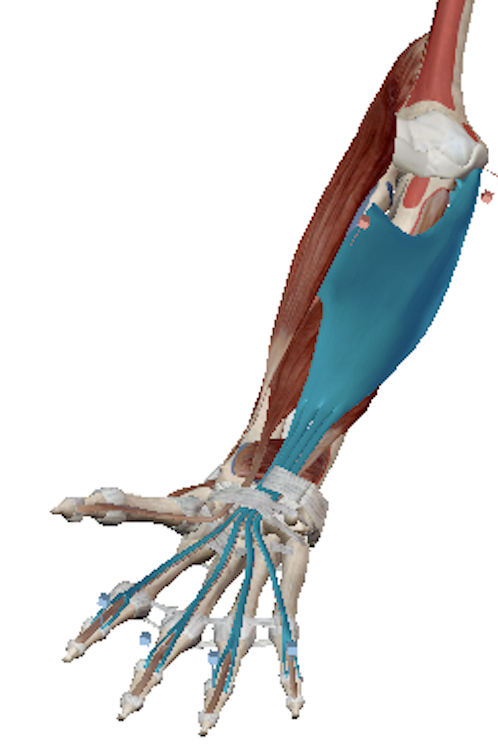 Science Behind The Injury