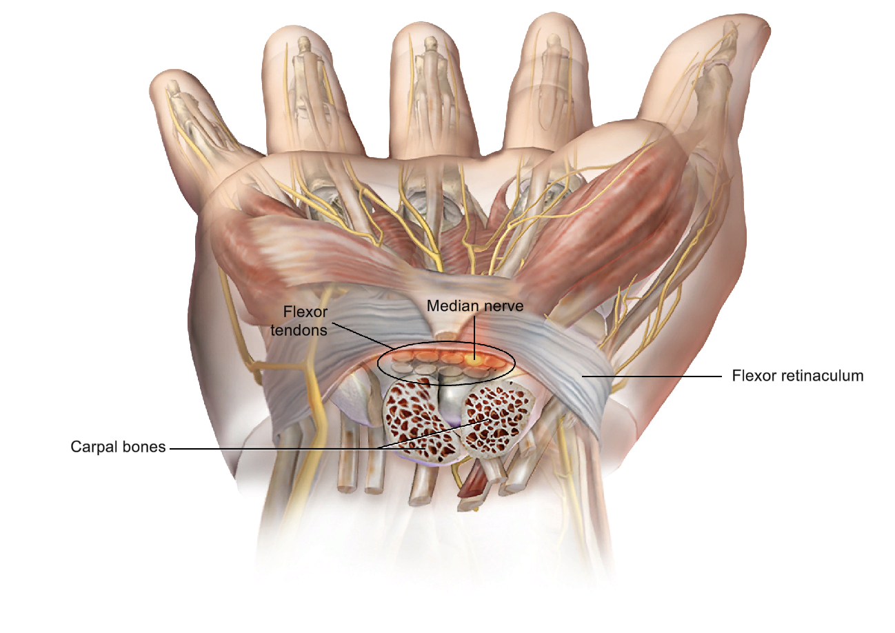 Science Behind The Injury