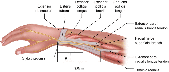 Science Behind The Injury