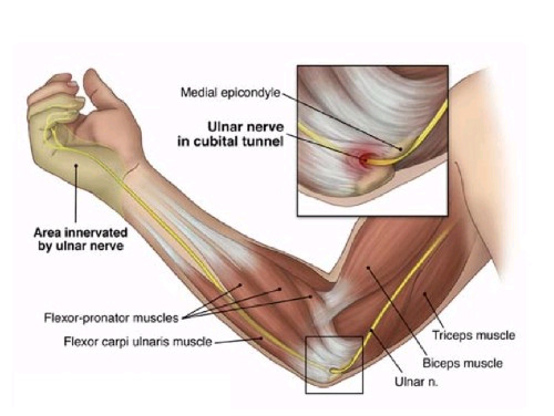 Science Behind The Injury