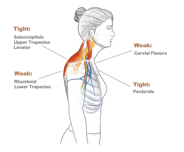 Science Behind The Injury