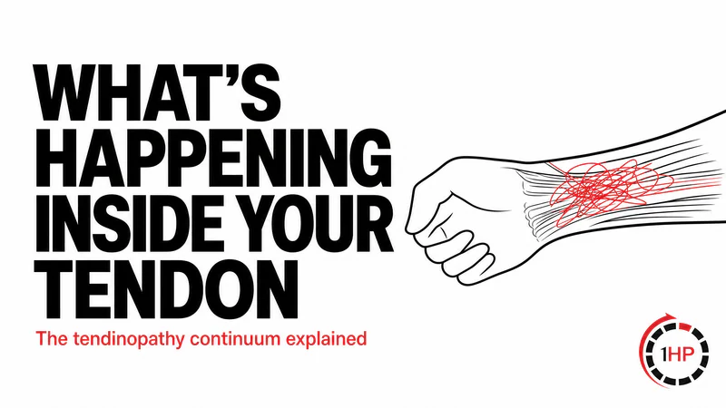 What Is Actually Happening Inside Your Tendon (And Why You Don't Need to Fix the Damaged Part)